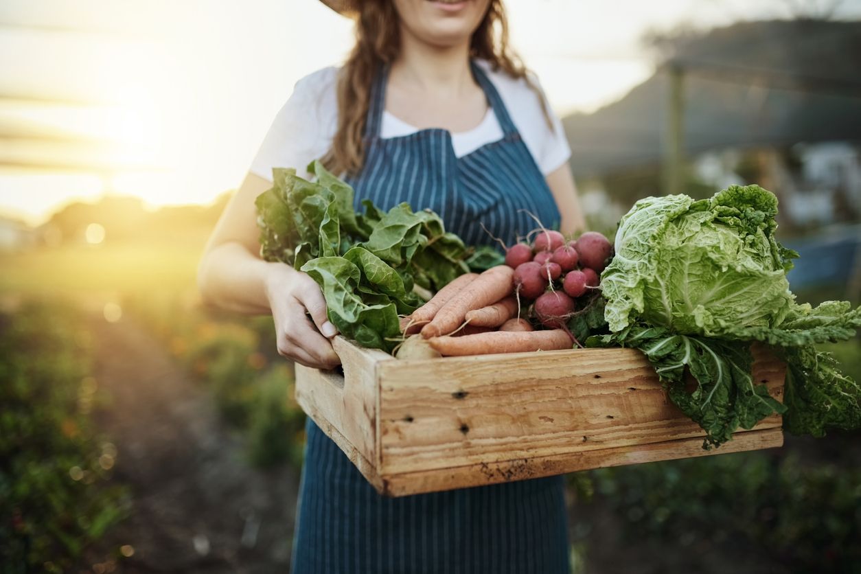 Beneficios fiscales para las actividades agr&iacute;colas y empresariales en Espa&ntilde;a