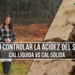 Su declaraci&oacute;n est&aacute; siendo comprobada: &iquest;Qu&eacute; debes saber?